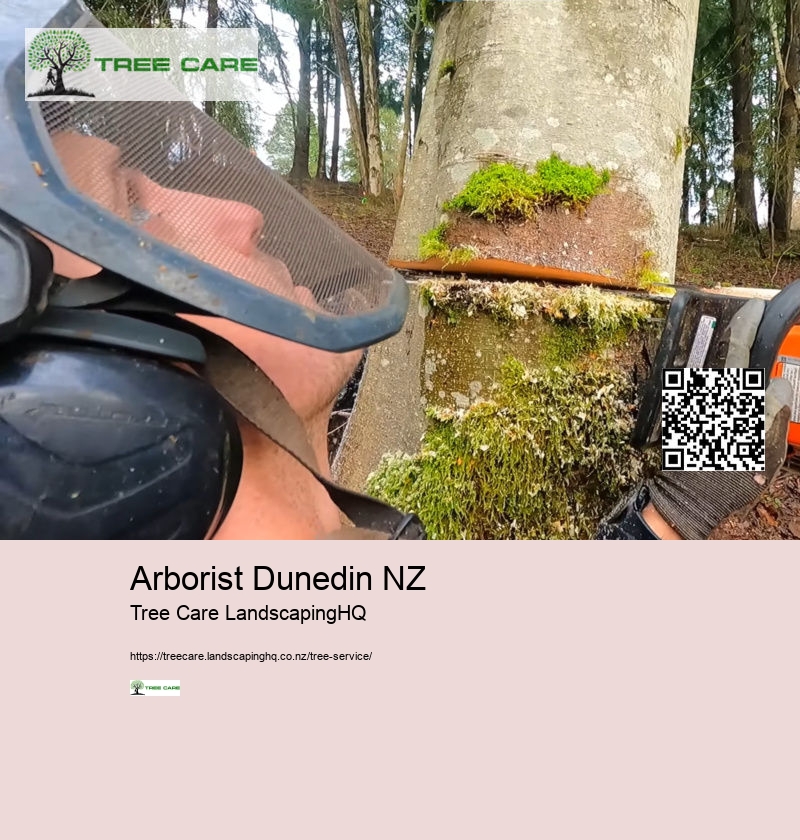 Arborist Dunedin NZ