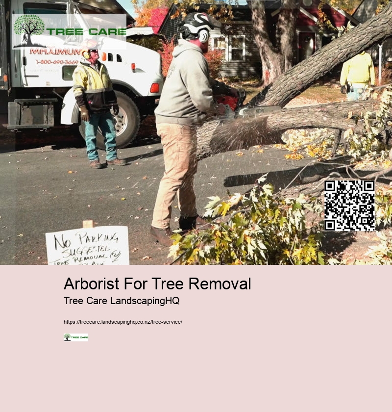 Arborist For Tree Removal