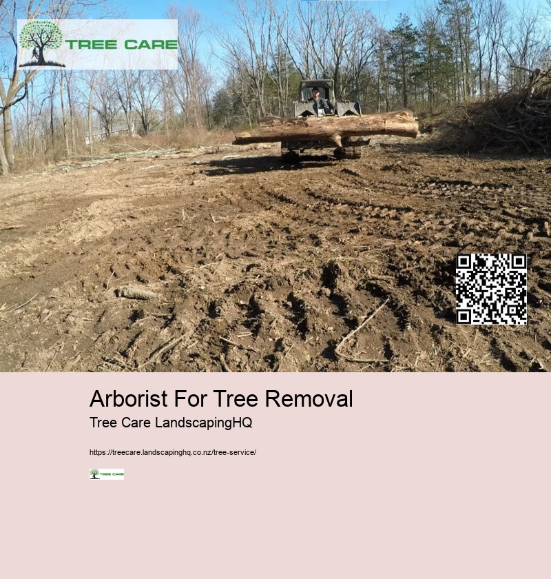 Arborist Tree Removal Cost