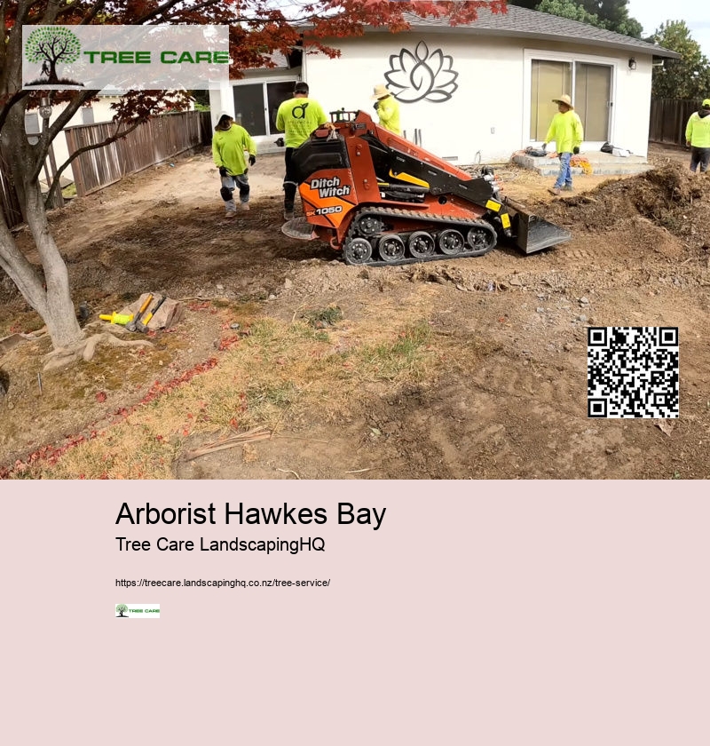 Arborist Hawkes Bay