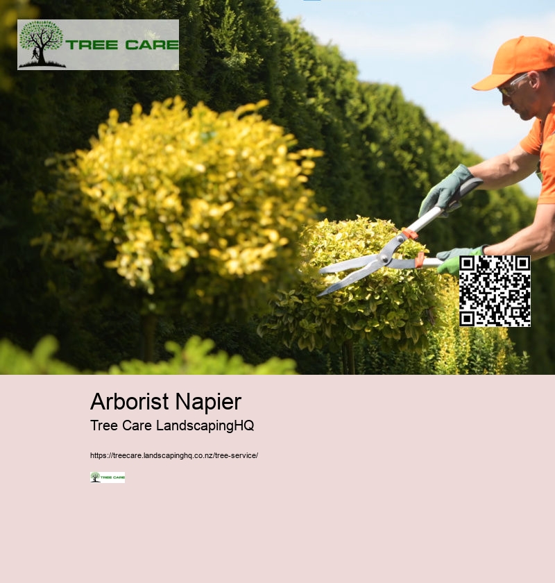 Arborist Napier