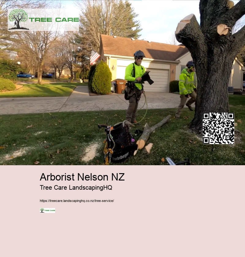 Tree Services New Plymouth