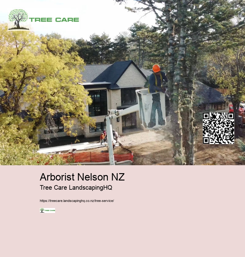 Arborists Auckland NZ