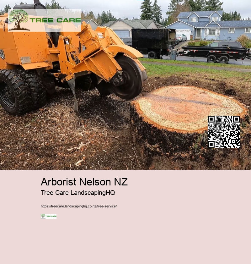 Arborist Nelson NZ