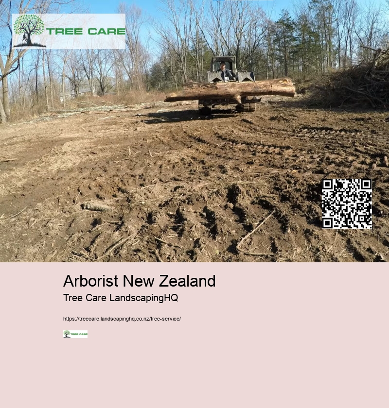 Arborist New Zealand