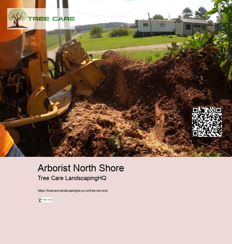 Arborist In Nelson NZ