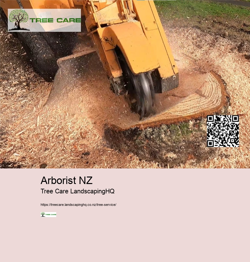 Arborist Costs NZ