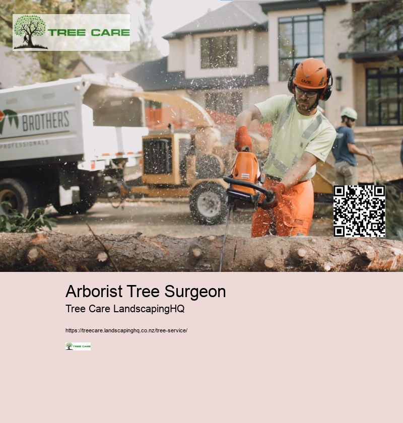 Arborist Tree Surgeon