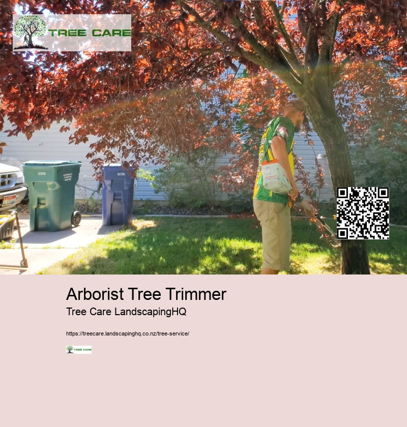 Mandarin Tree Care NZ