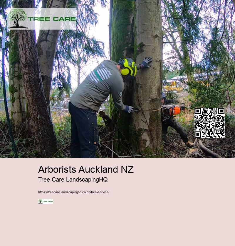 Arborists Auckland NZ