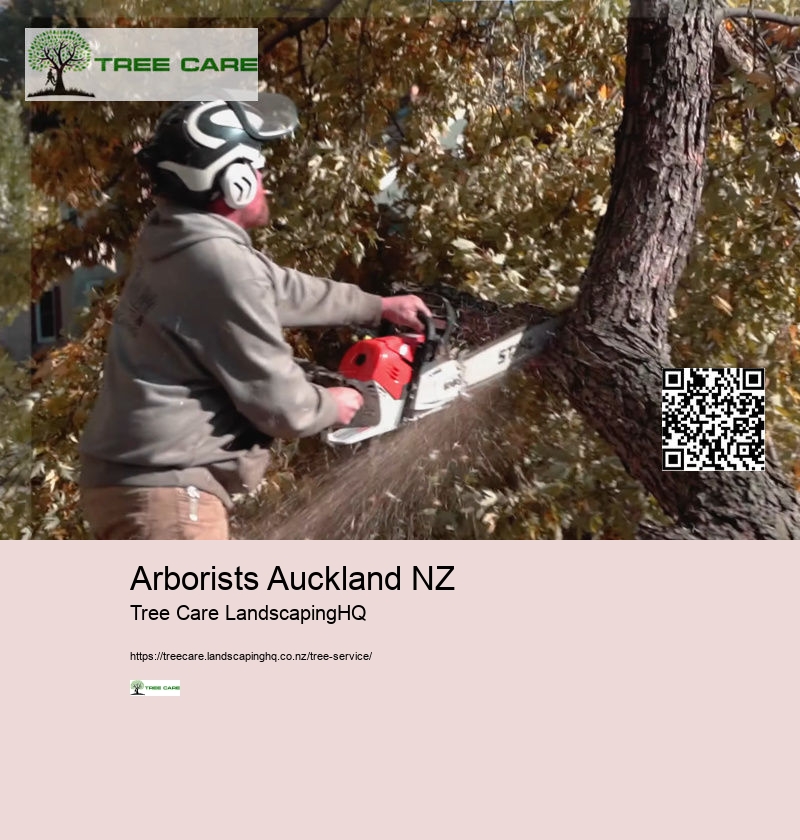 Arborist South Island New Zealand