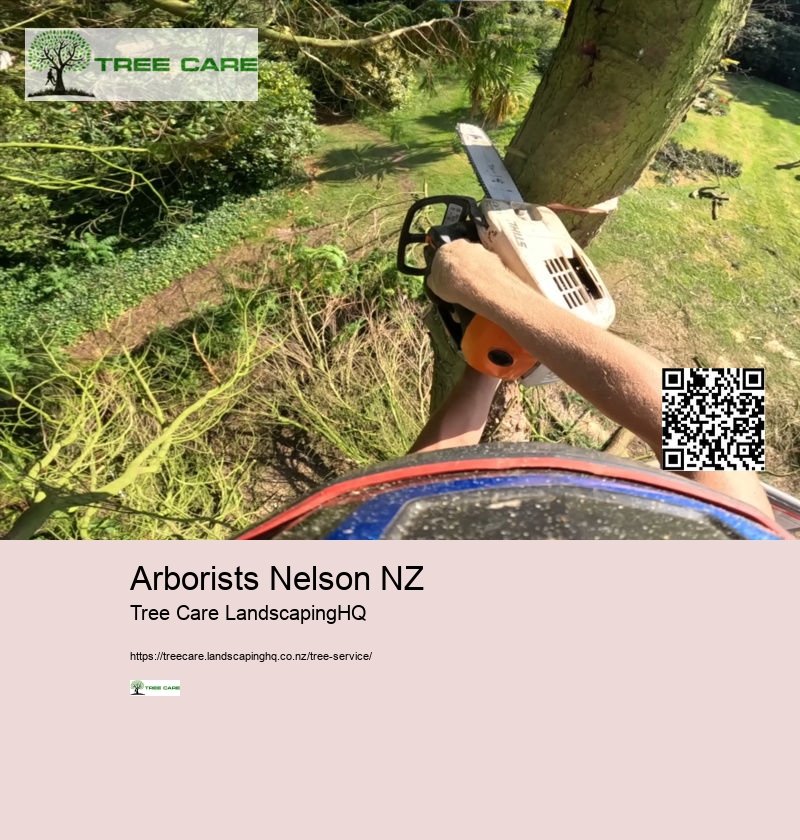 Arborist Hamilton New Zealand