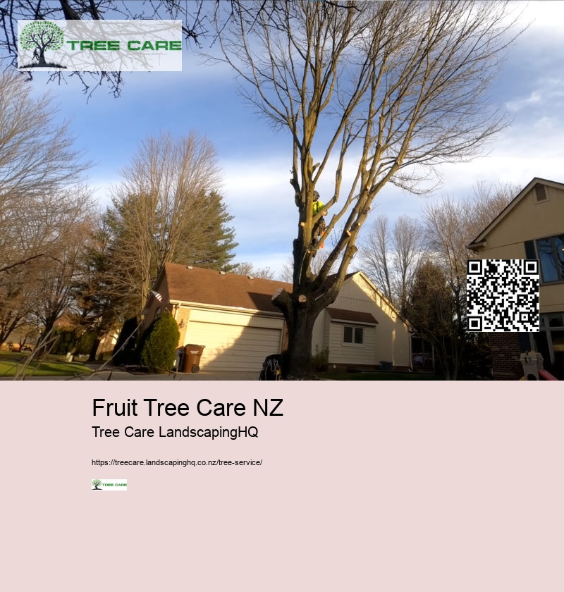 Hawkes Bay Tree Surgeons