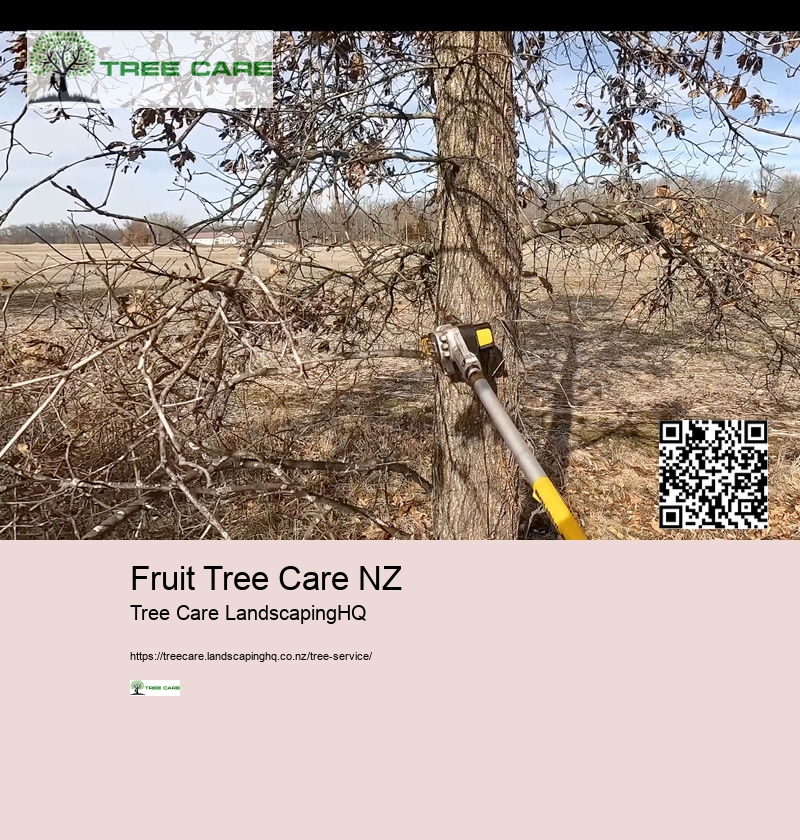 Magnolia Tree Care NZ