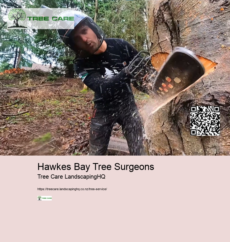 Tree Care Queenstown NZ