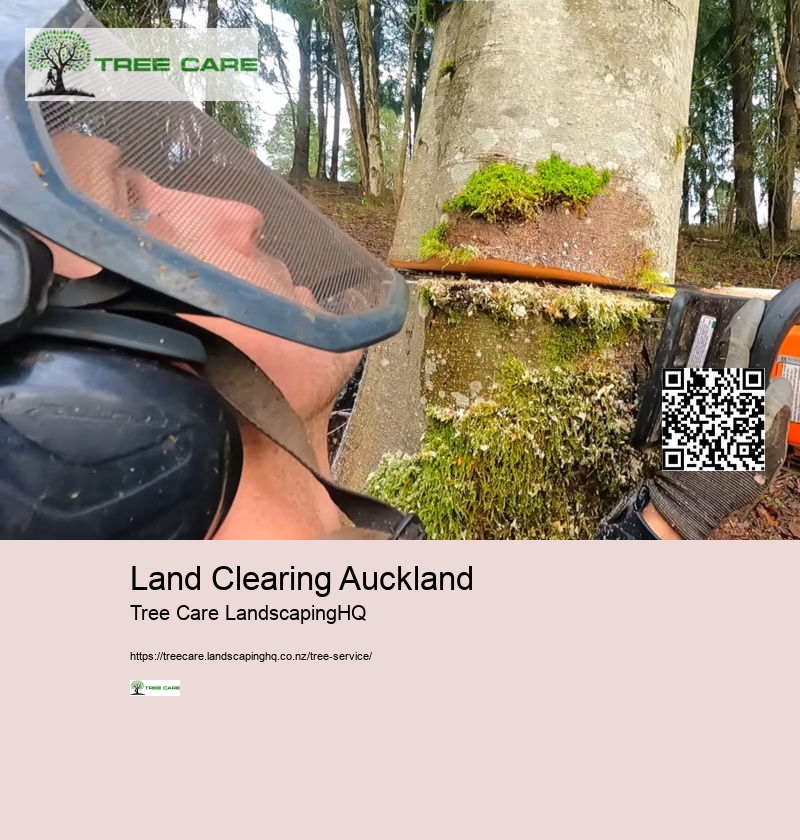 Tree Services Dunedin