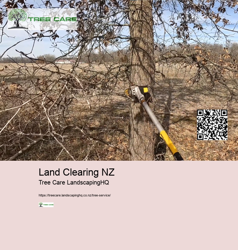 Land Clearing NZ