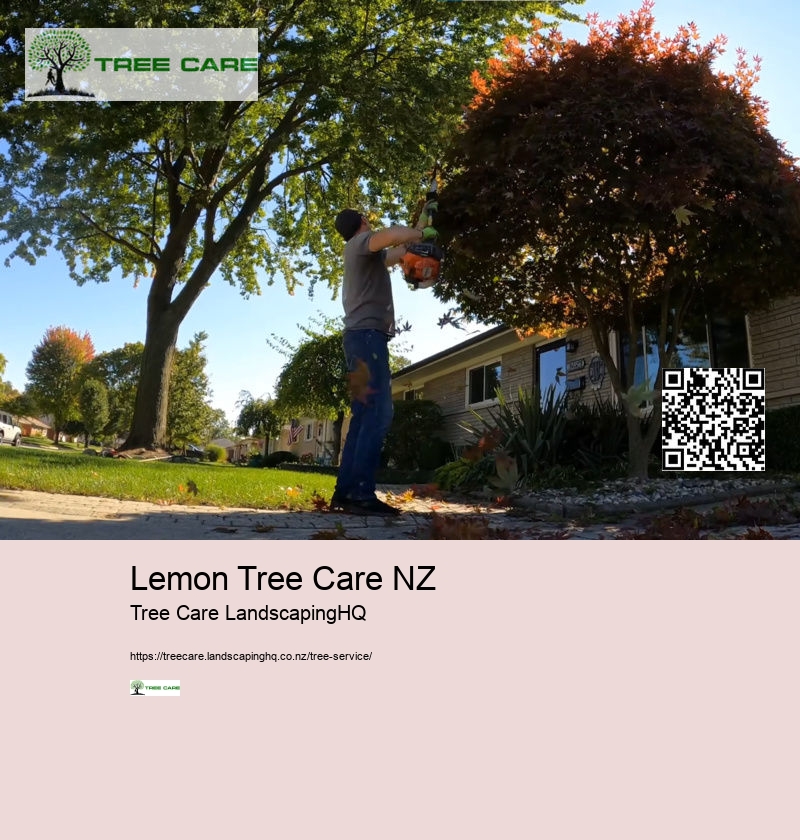 Best Arborist Near Me