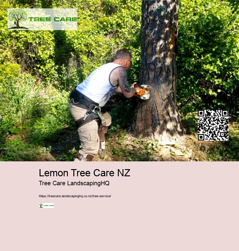 Lemon Tree Care NZ