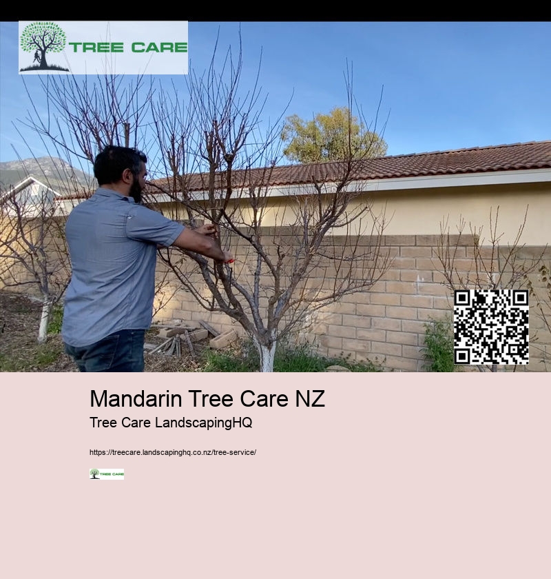 Mandarin Tree Care NZ