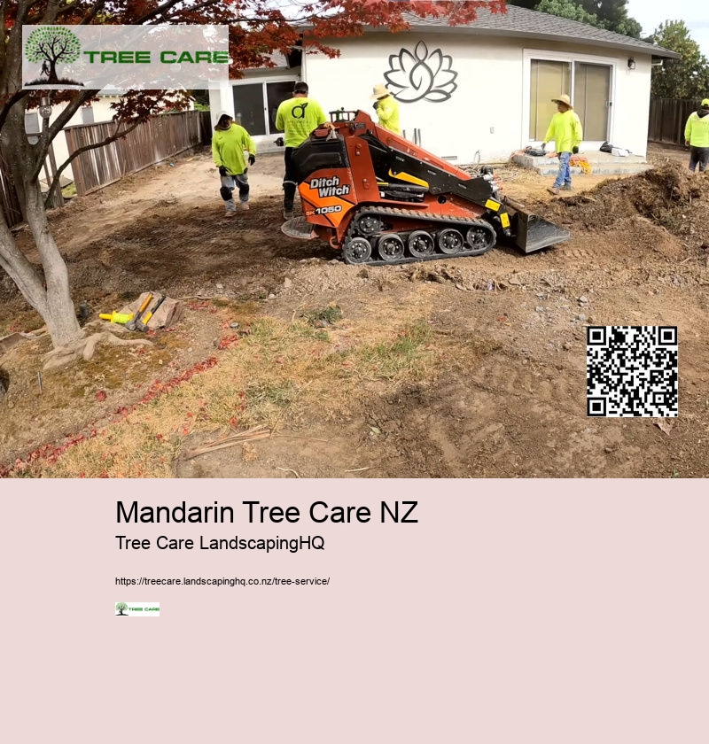 Arborist Hawkes Bay