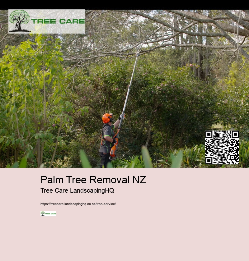 Arborist Hamilton NZ