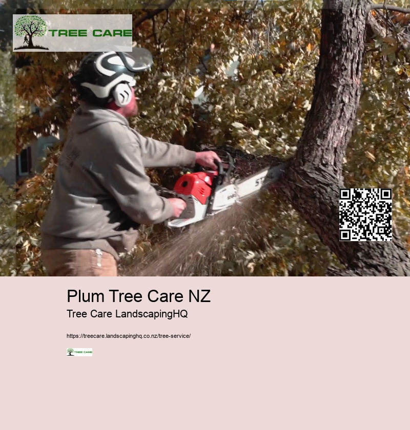 Mandarin Tree Care NZ