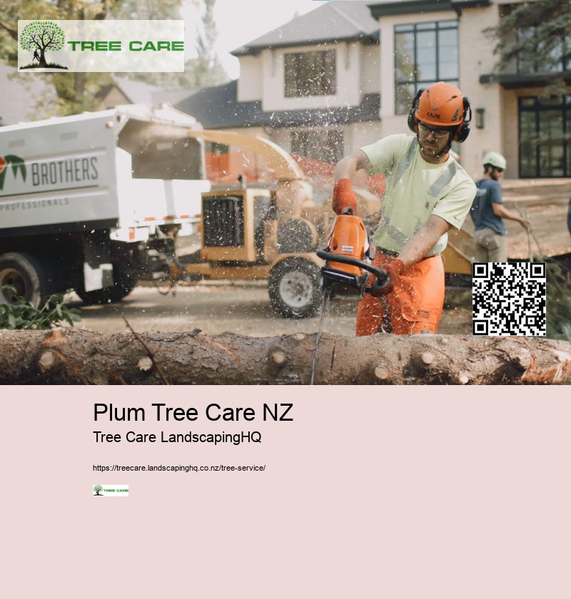 Arborists Nelson NZ