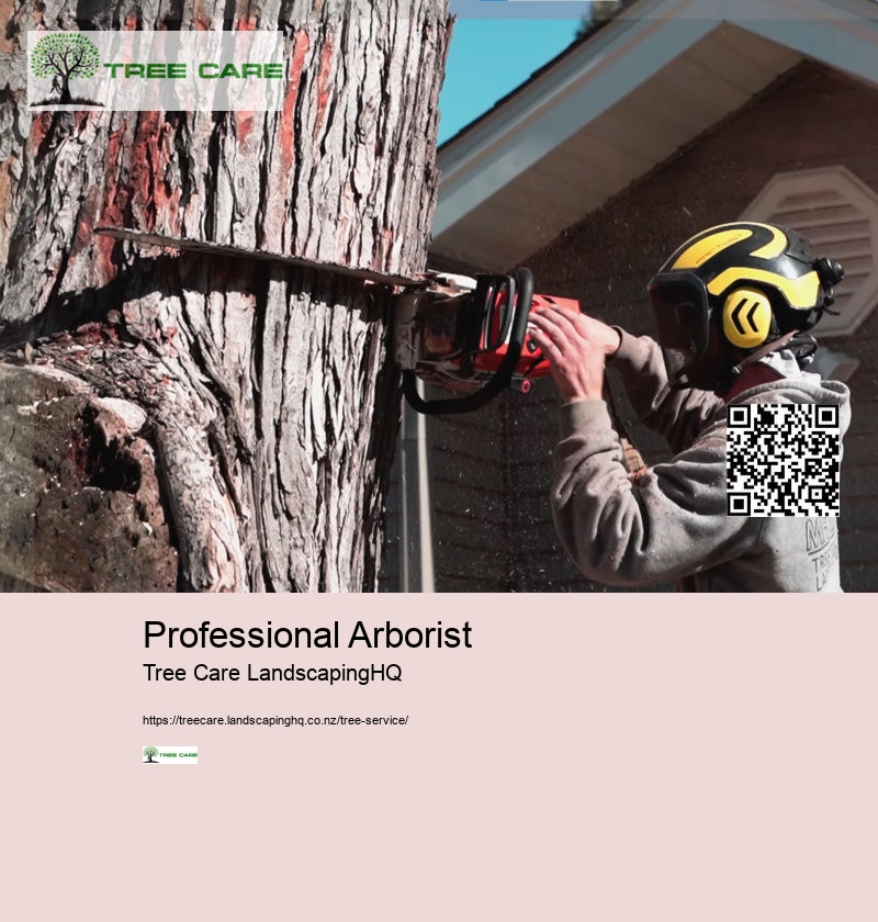 Arborist New Zealand