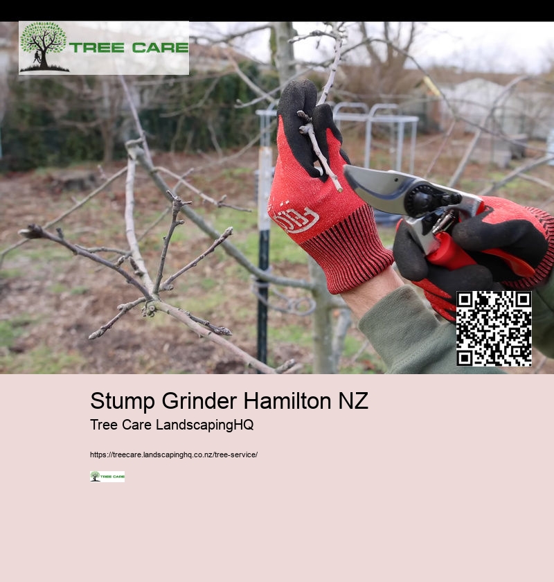 Tree Care Companies