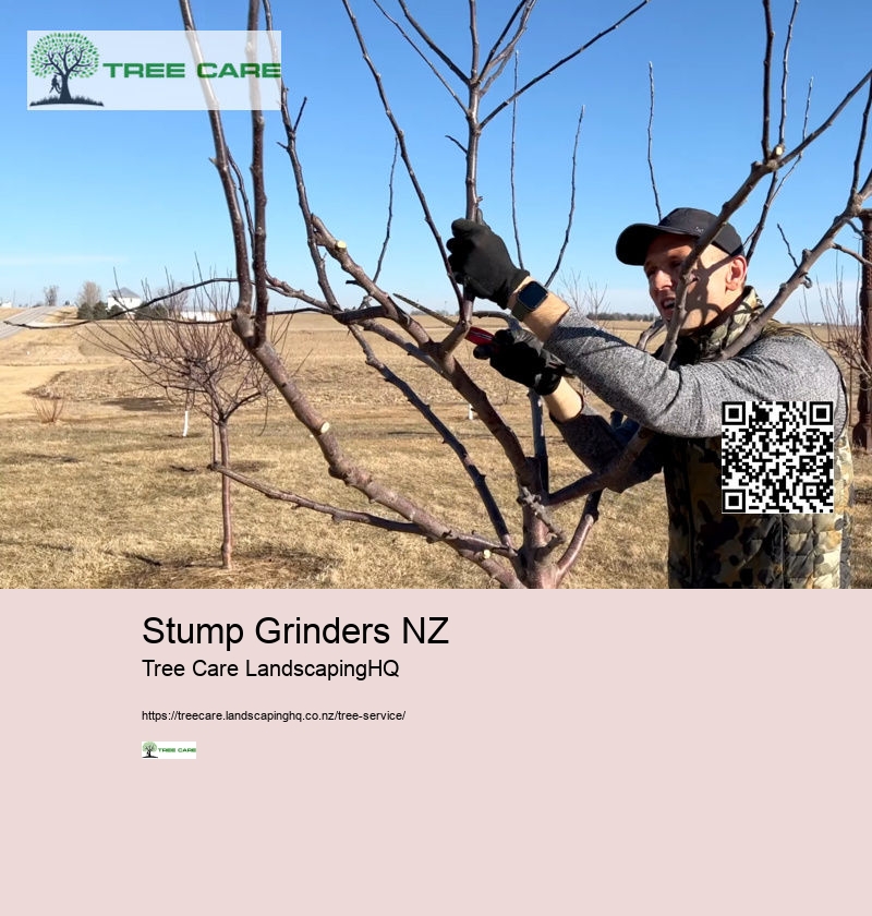 Tree Services Wellington