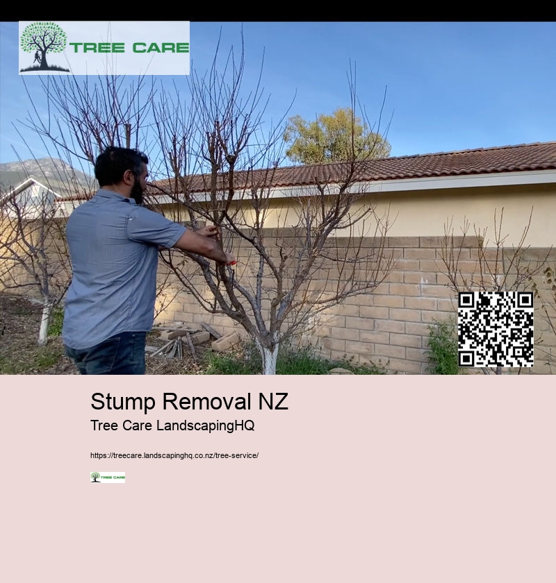 Land Clearing NZ