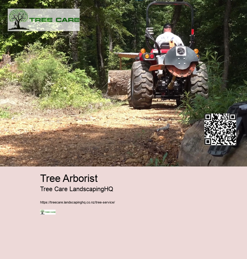 Arborist For Tree Removal