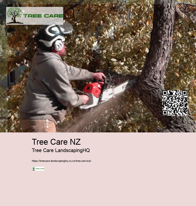 Stump Grinding Palmerston North