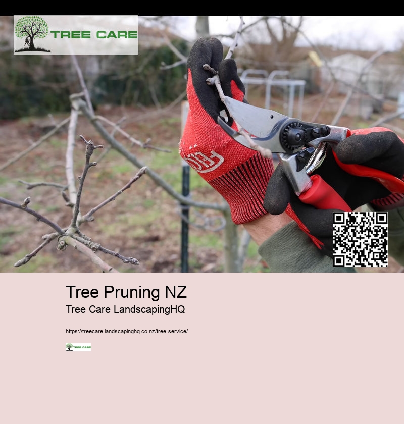 Tree Pruning NZ