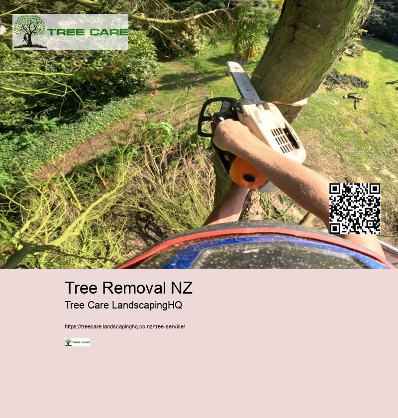 Arborist Kerikeri