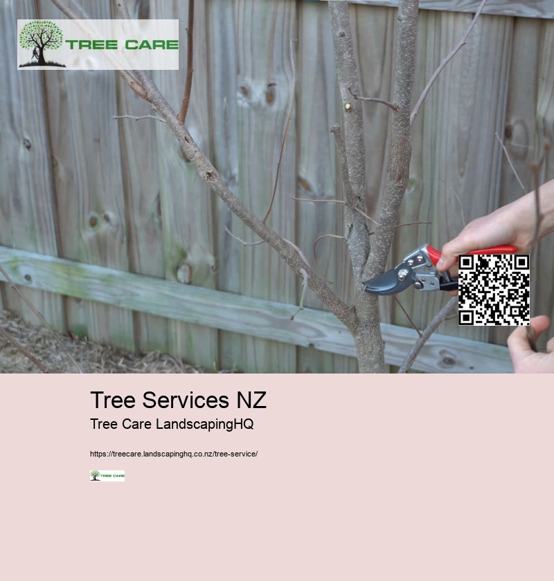 Best Time To Trim Trees NZ