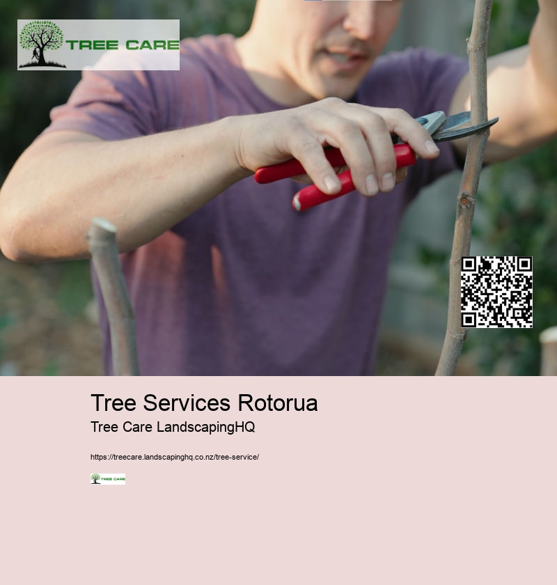 Tree Services Rotorua