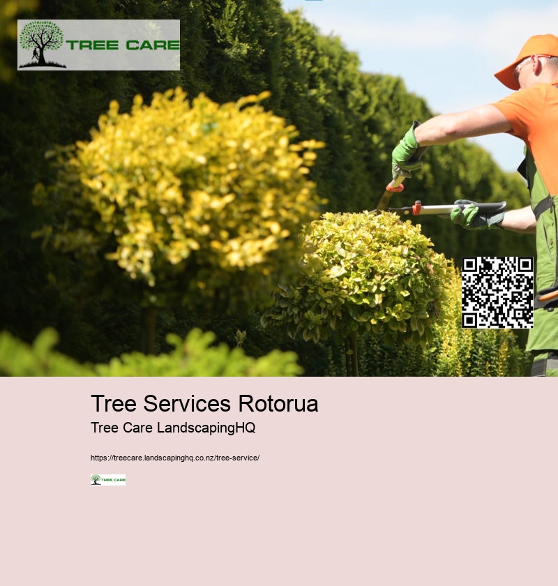 Tree Removal Hamilton NZ