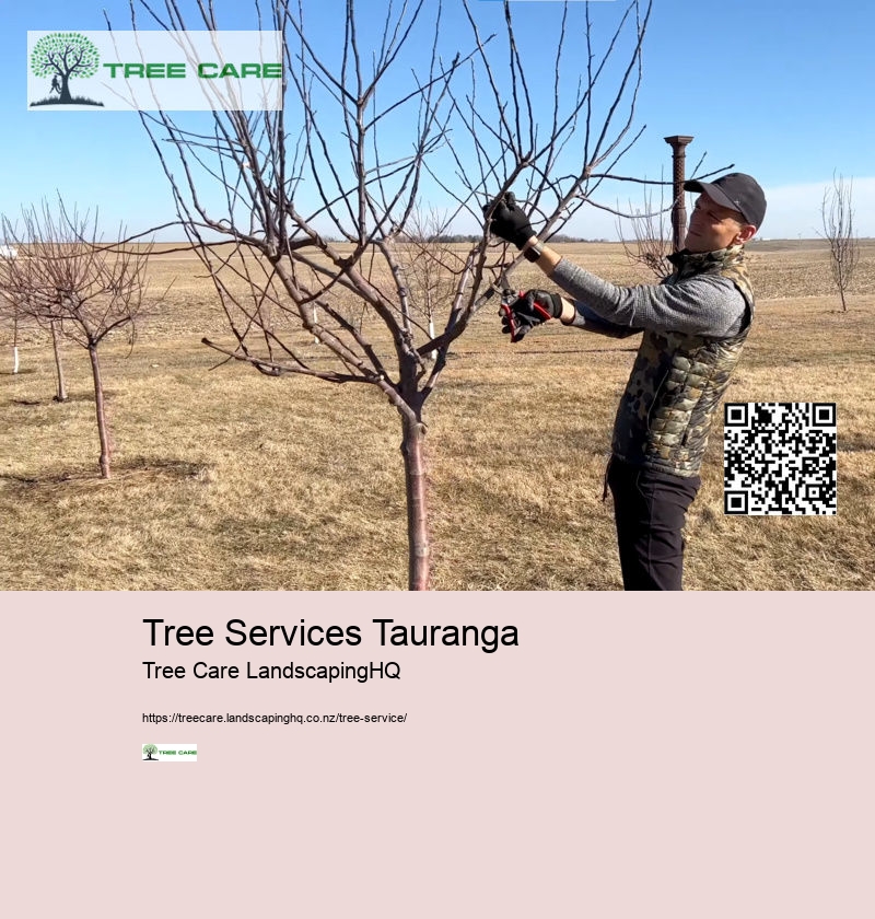 Arborist West Auckland