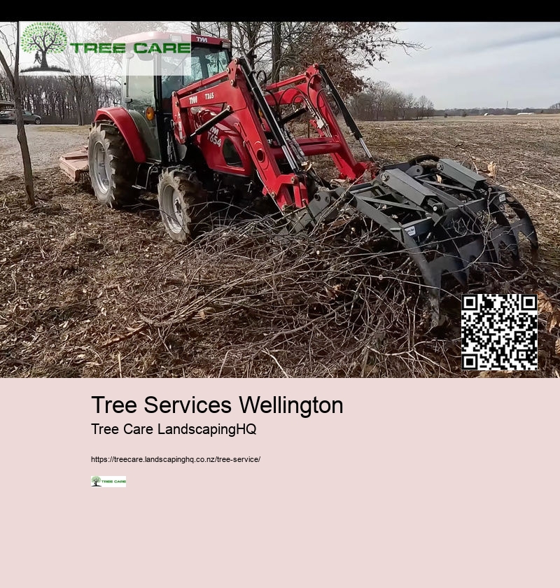 Tree Services Wellington