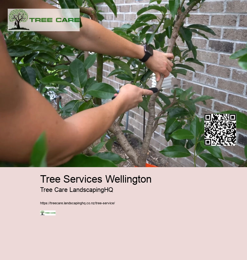 Arborist In Nelson NZ