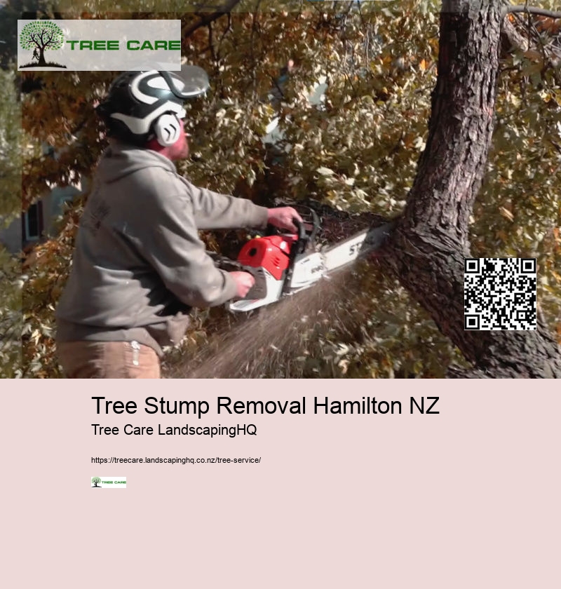 Tree Arborist Wellington NZ