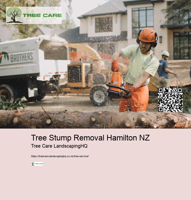 Arborist North Shore