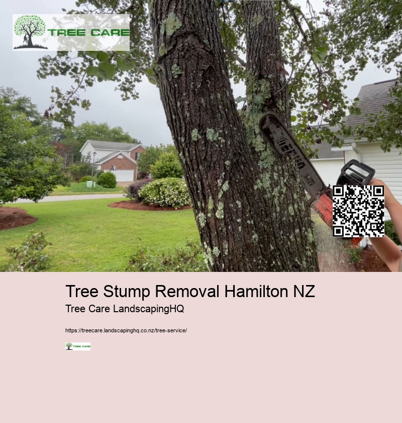 Arborist Upper Hutt