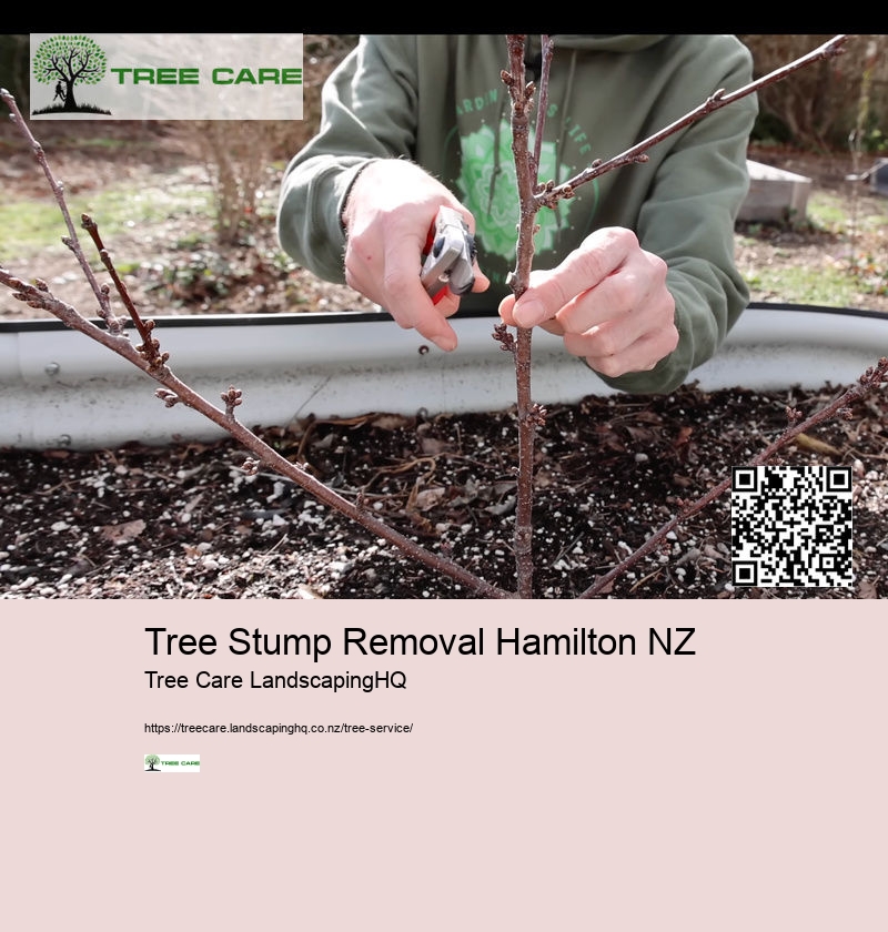 Tree Removal Rotorua