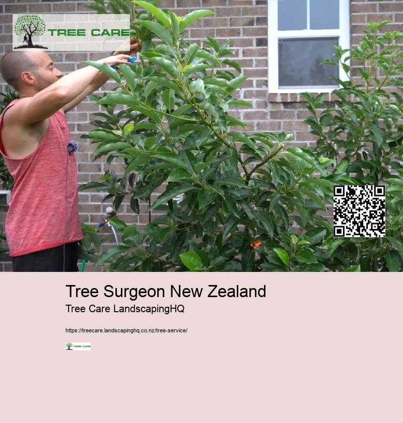 Consulting Arborist Auckland NZ