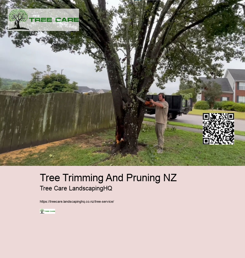 Mandarin Tree Care NZ