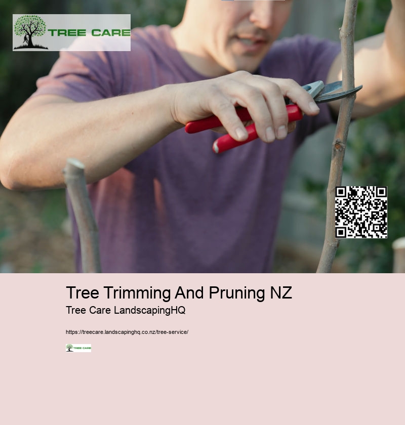 Arborist Hastings NZ