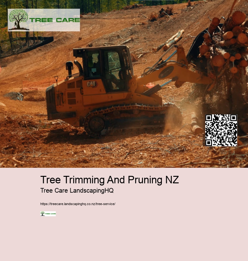 Arborist Company New Zealand